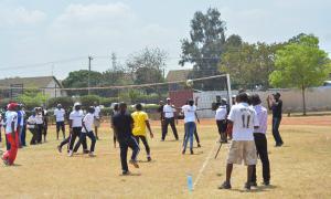 Volleyball Pitch